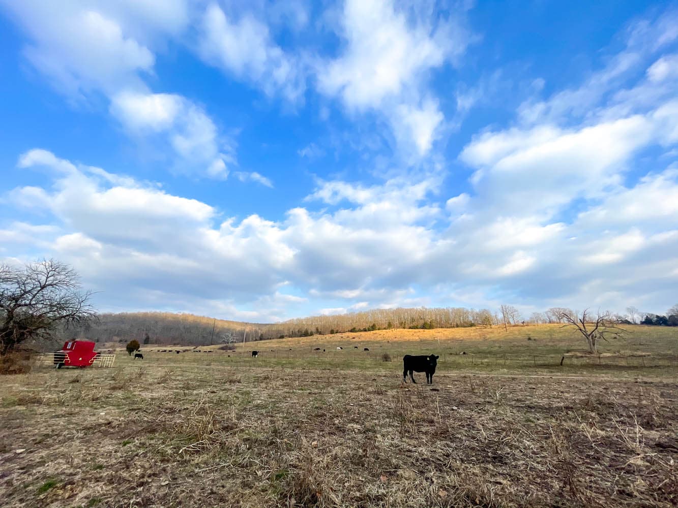 Eilbrunn Farm | UNDER CONTRACT