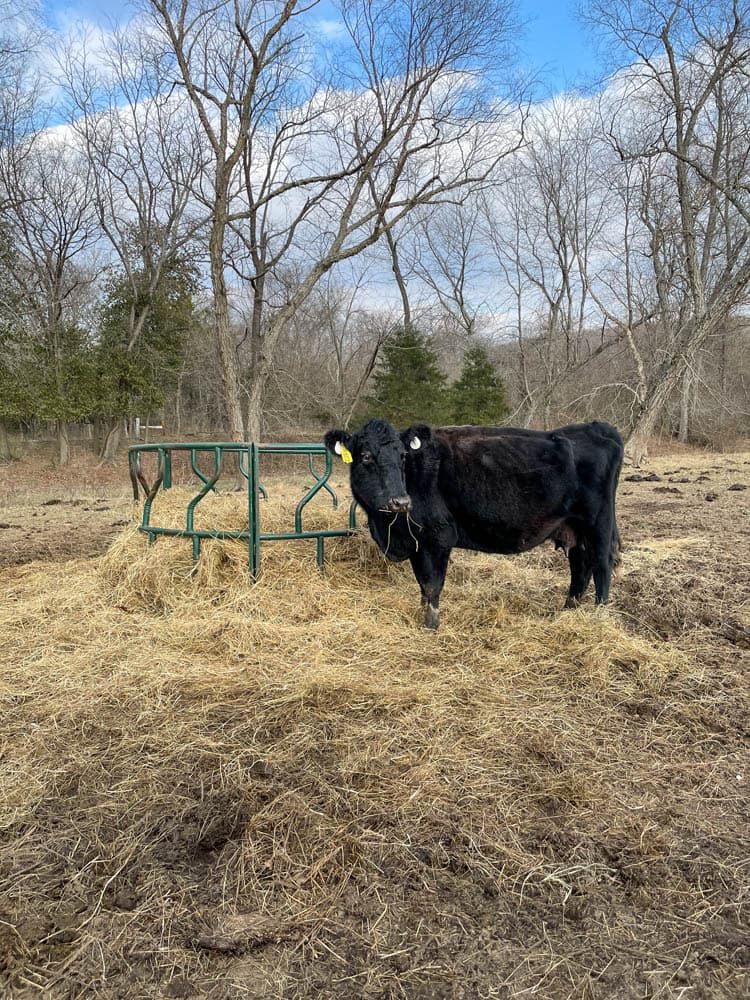 Eilbrunn Farm | UNDER CONTRACT