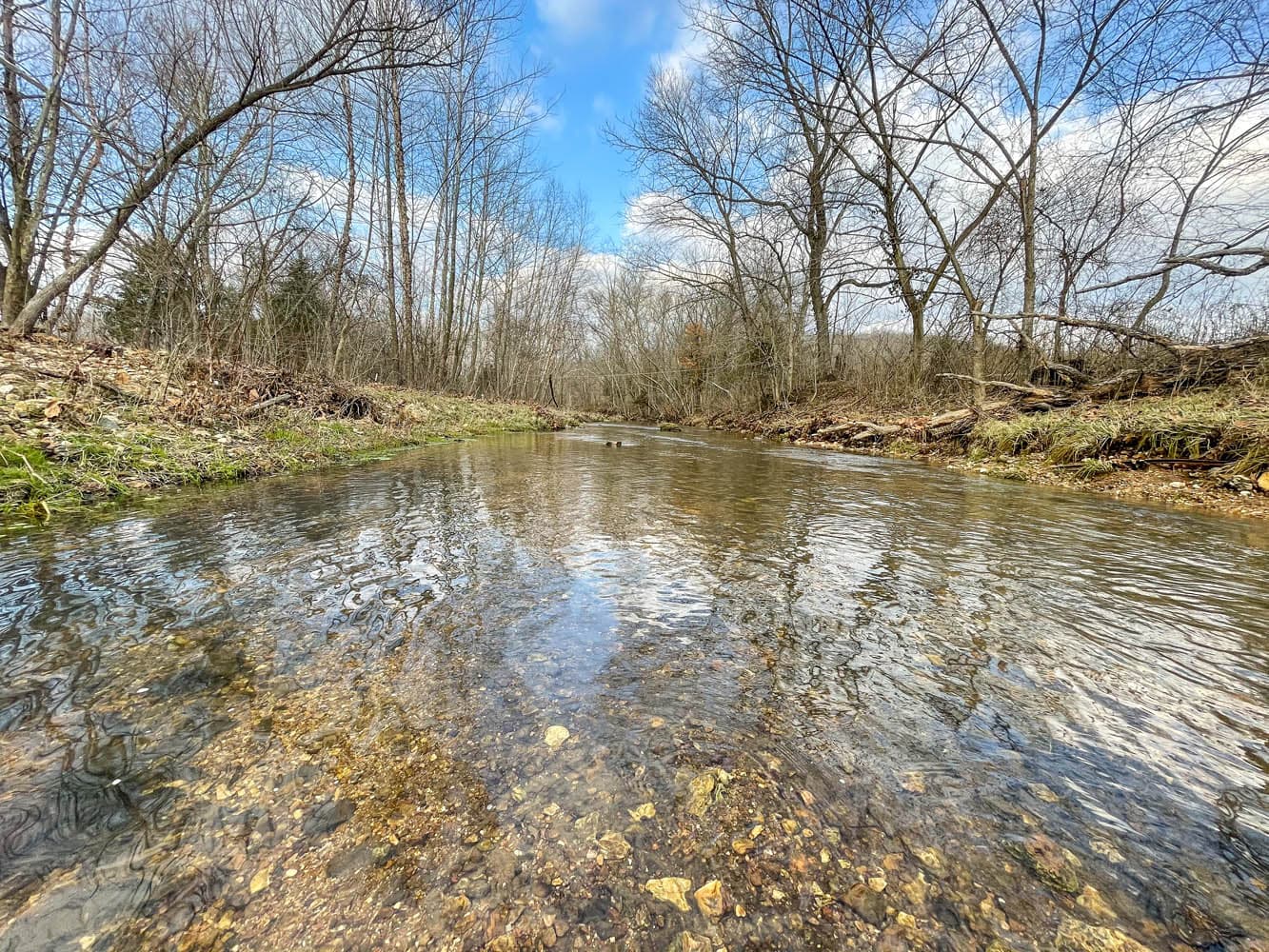 Eilbrunn Farm | UNDER CONTRACT