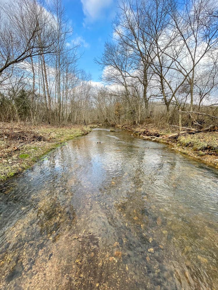 Eilbrunn Farm | UNDER CONTRACT