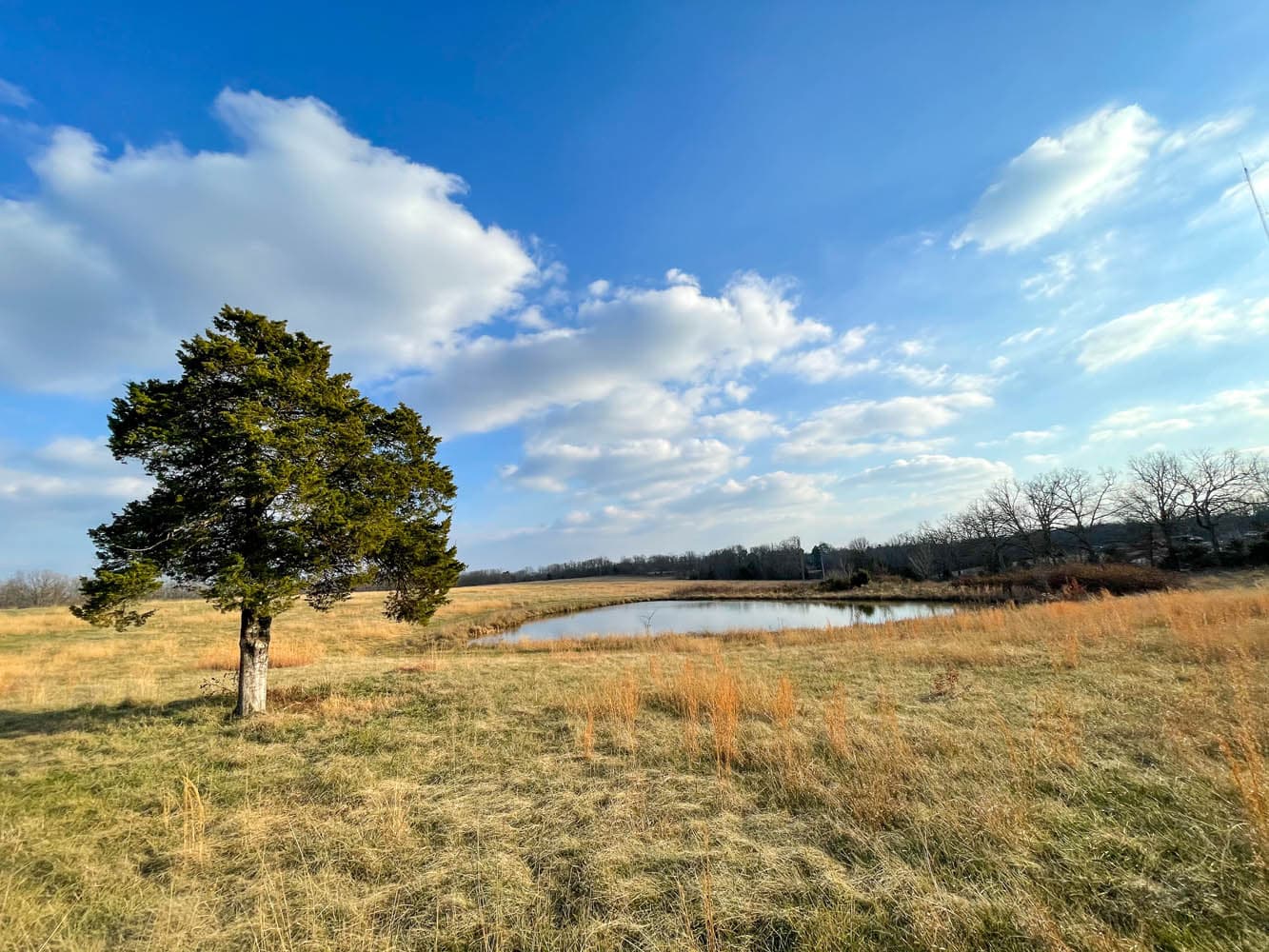 Eilbrunn Farm | UNDER CONTRACT