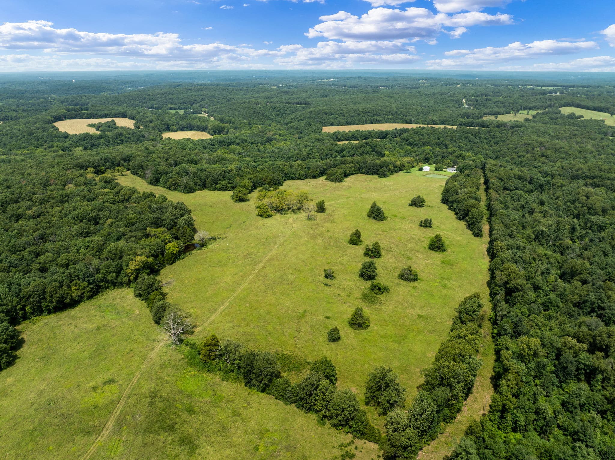 Aerial of the ranch's pastures and wooded draws