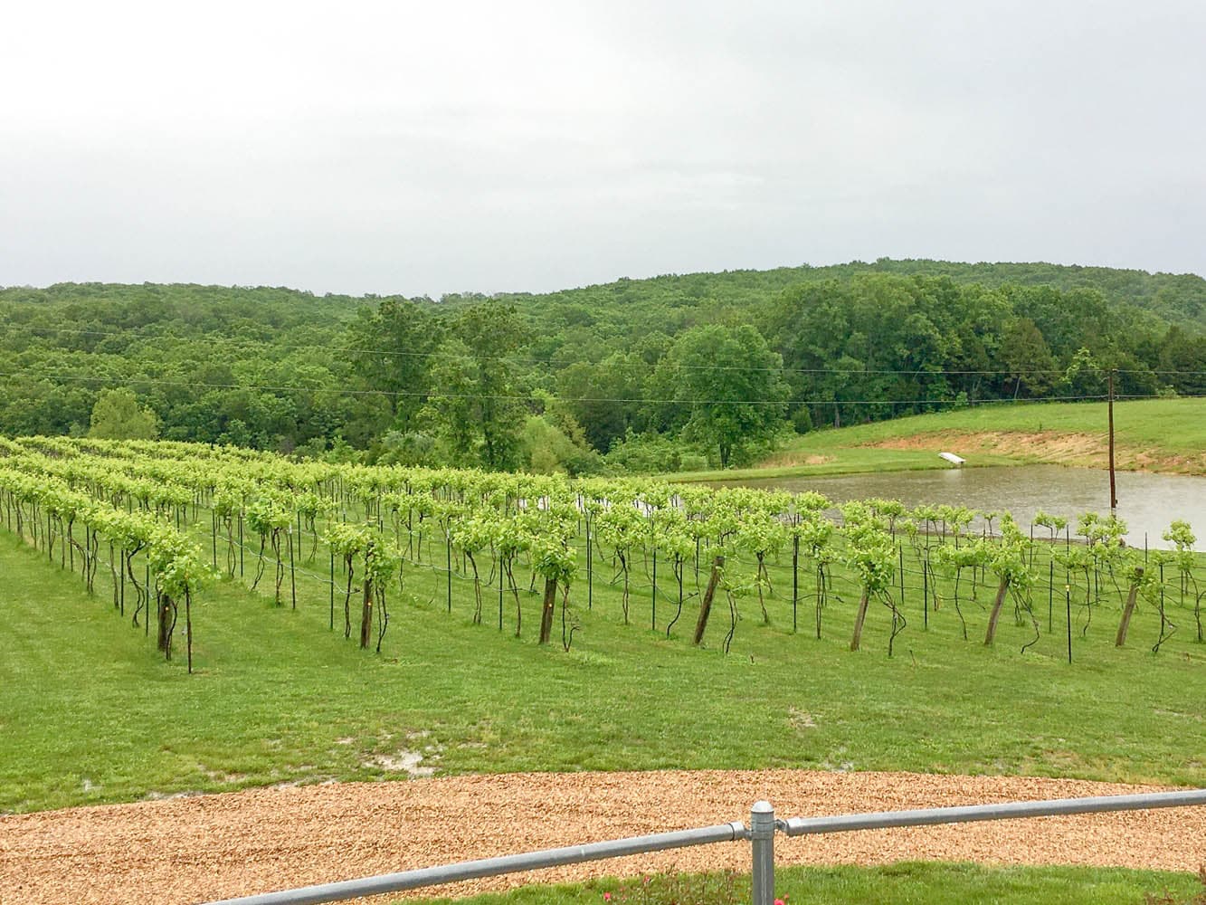 Red Moose Winery | MLS# 22016637 | SOLD
