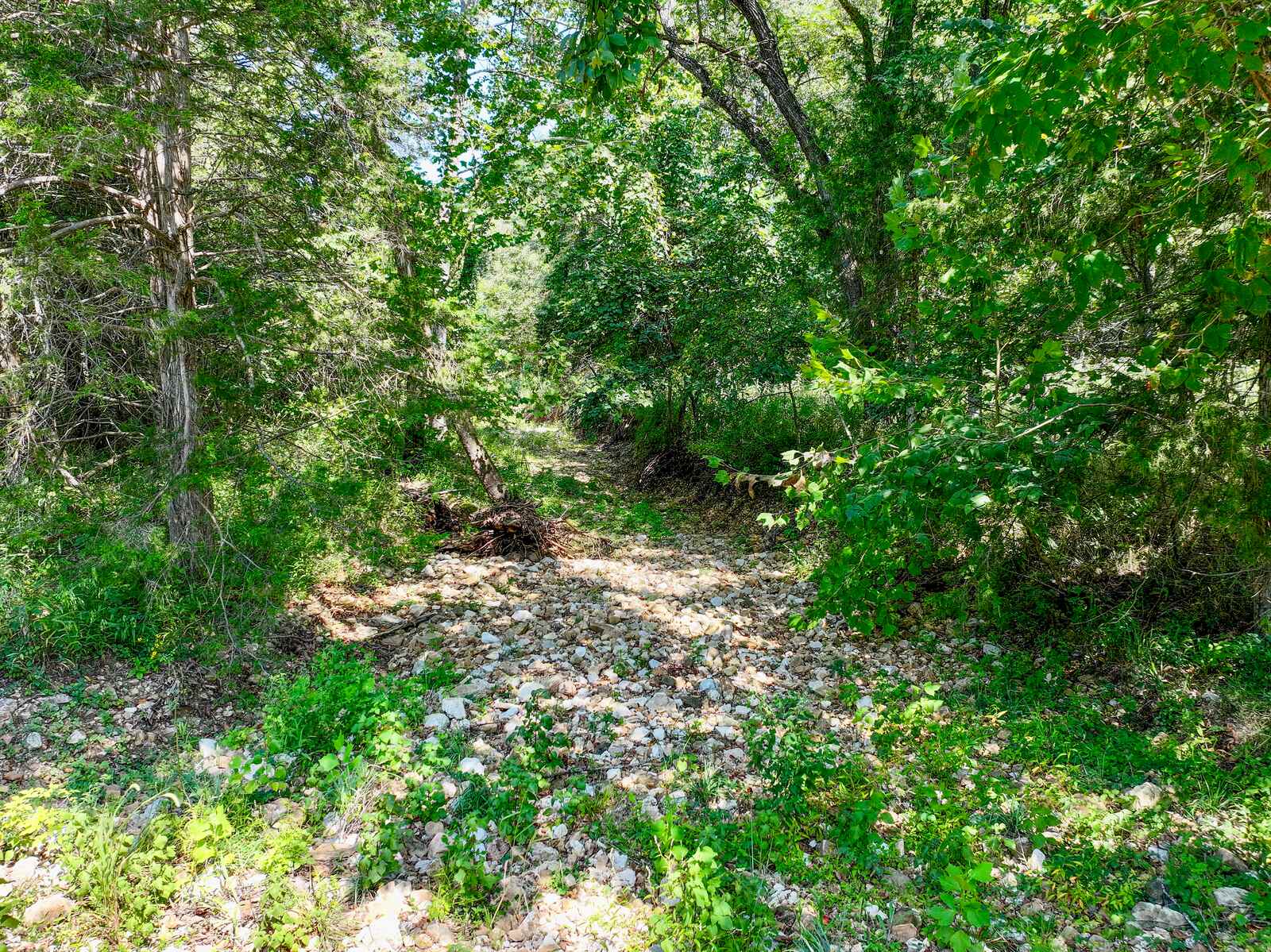 Rocky wooded draw on the Tanglefoot Farm property